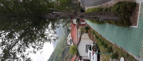 A residential area with houses, a road, and a green space with a fence.