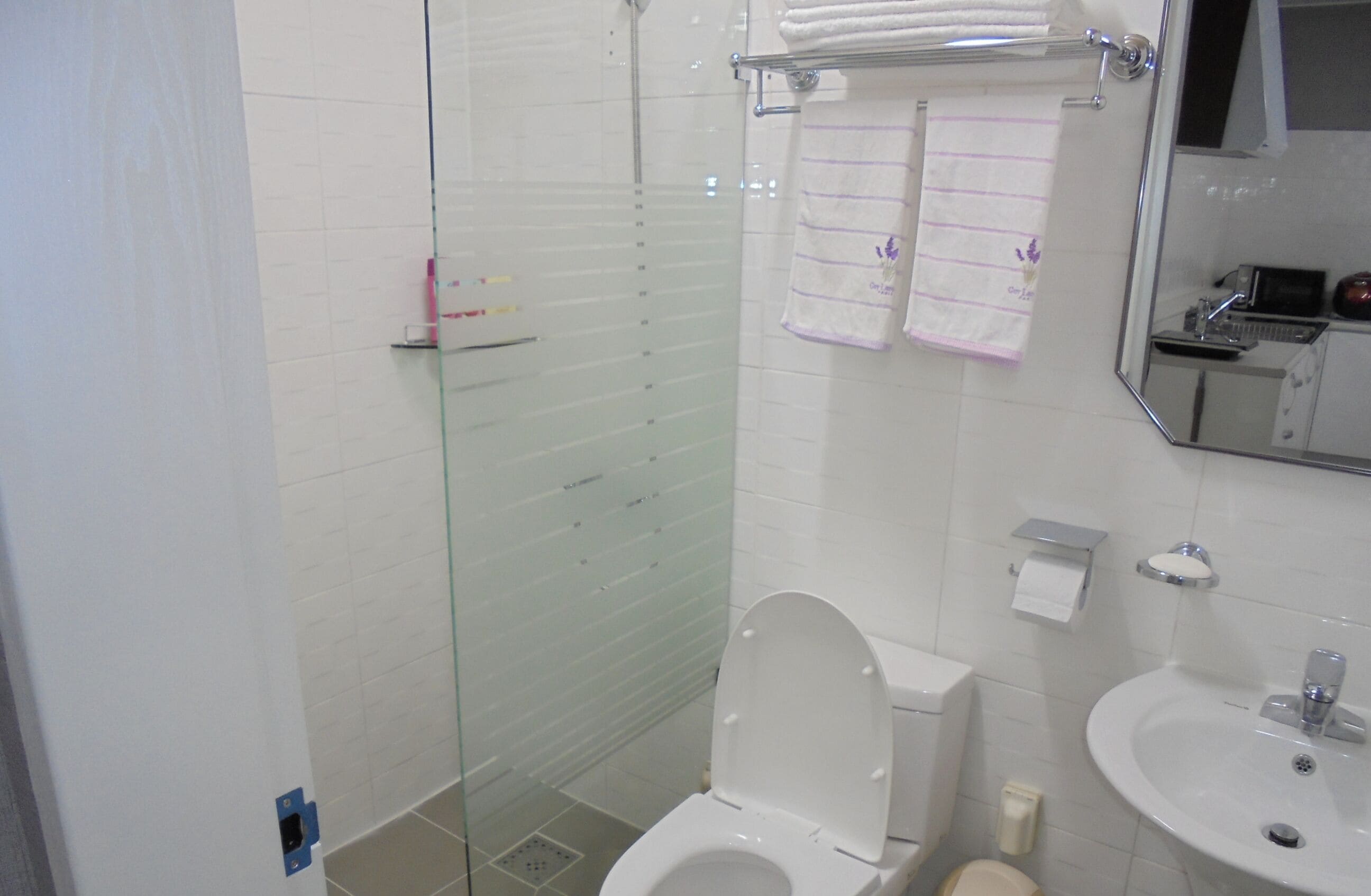 A bathroom with a glass-enclosed shower, a toilet, a sink, and a mirror.