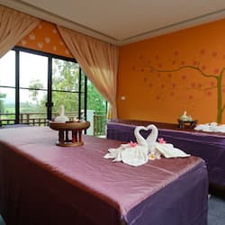 Steam room, aromatherapy, Thai massages, body wraps, body scrubs