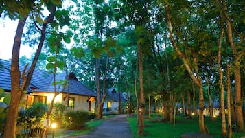 Taman