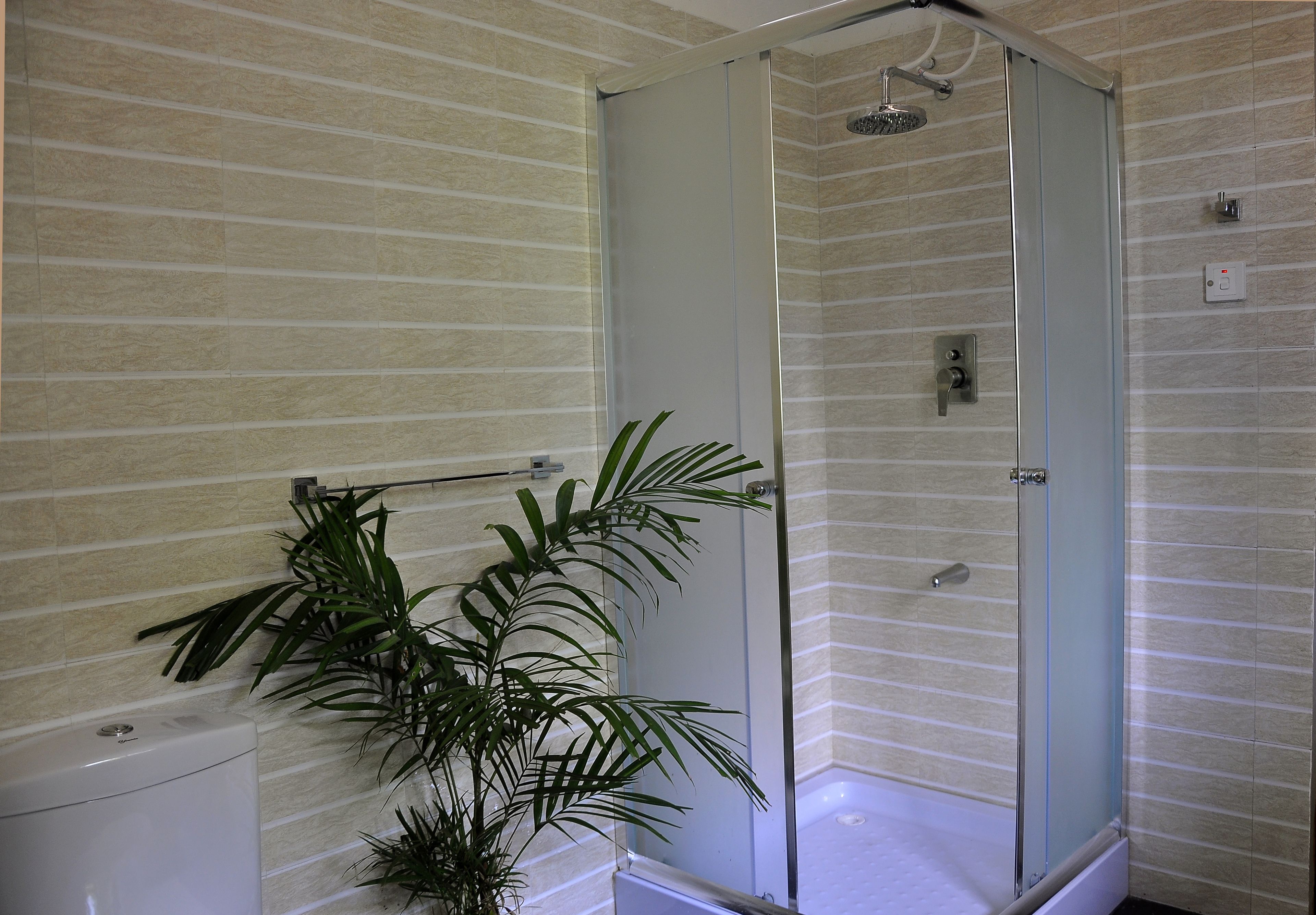 A glass-enclosed shower with a handheld showerhead, a towel rack, and a potted plant.