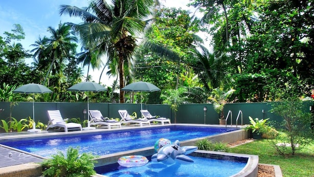 Piscina con sillas de descanso y sombrillas, rodeada de abundante vegetación.