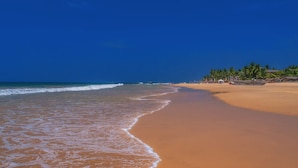A beach with clear blue water, a sandy shore, and palm trees. - Hikka Resort (Hikkaduwa)