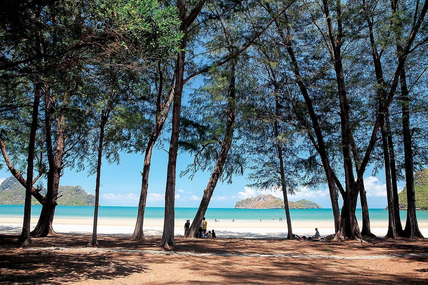 ชายหาด
