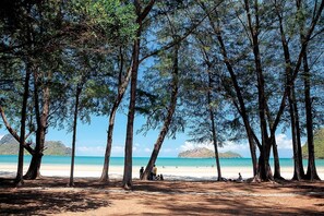 A beach with tall trees and a clear view of the ocean. - Tri-Shawa Resort (Prachuap Khiri Khan)