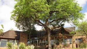A stone-walled building with a large tree in front, a staircase leading to the entrance, and a glass door. - Marula Cottage (Thabazimbi)