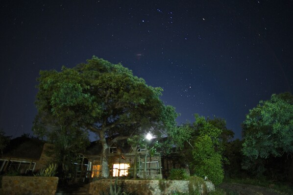 A house with a large tree in front, a stone wall, and a lit window.