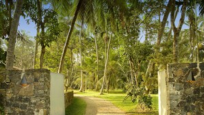 A pathway leading through a lush garden with stone walls and palm trees.