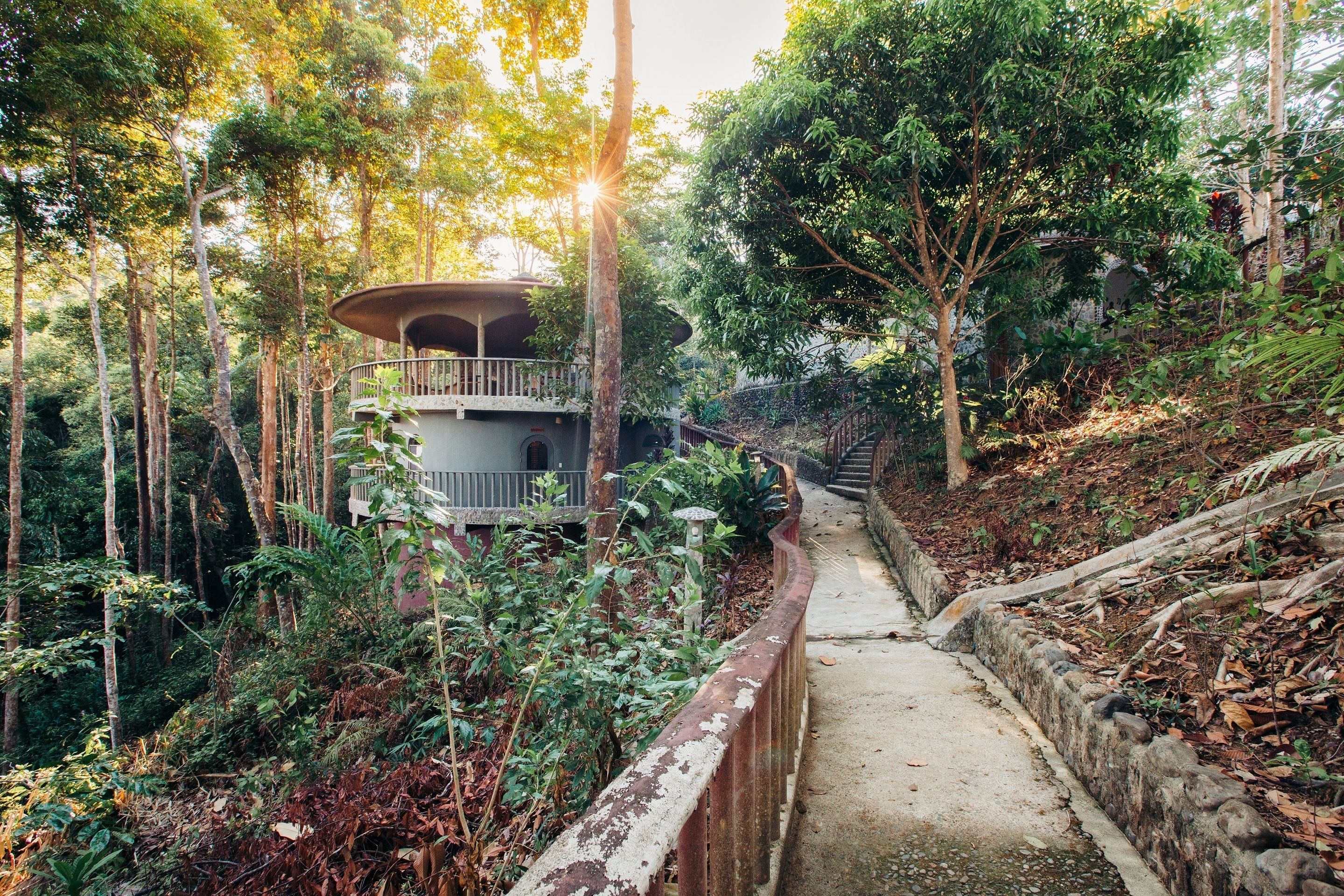 Un camino que lleva a un edificio rodeado de bosque denso.