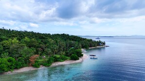 Une zone côtière caractérisée par une végétation luxuriante, une plage de sable et des eaux calmes.