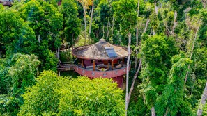Chalet (Rambutan) | Aerial view - Atremaru Jungle Retreat (Puerto Princesa)
