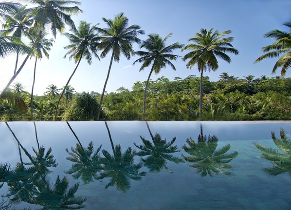 A clear view of an infinity pool with palm trees in the background.