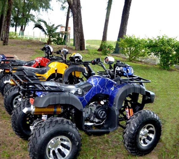 A row of quad bikes parked on grass with trees in the background.