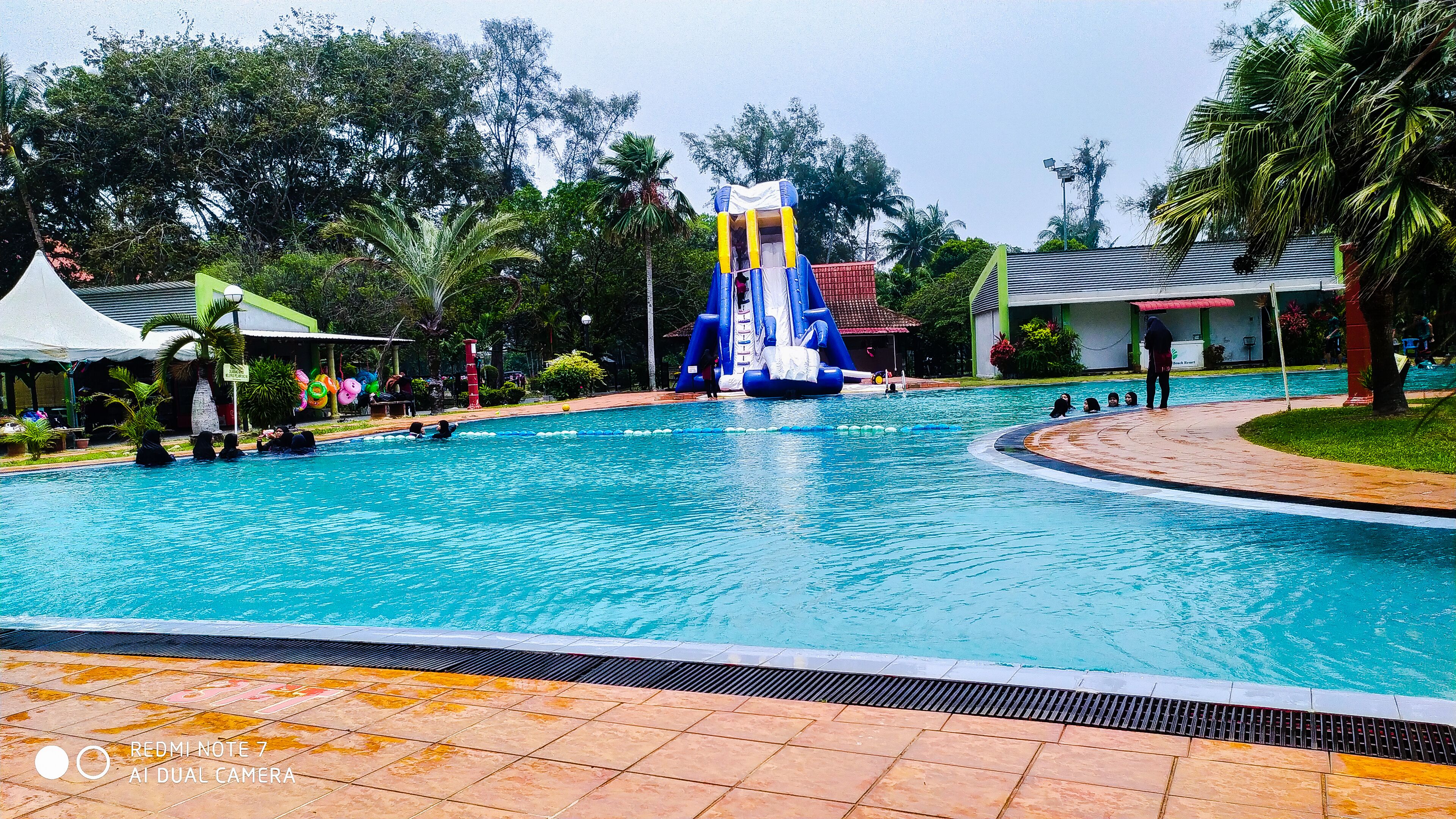 Une piscine avec un toboggan, entourée de palmiers et dotée d’un espace couvert avec un toit végétalisé.