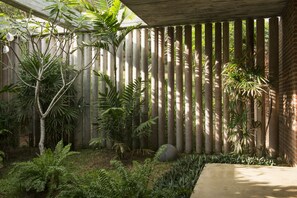 A garden with bamboo fencing, various tropical plants, and a concrete pathway.