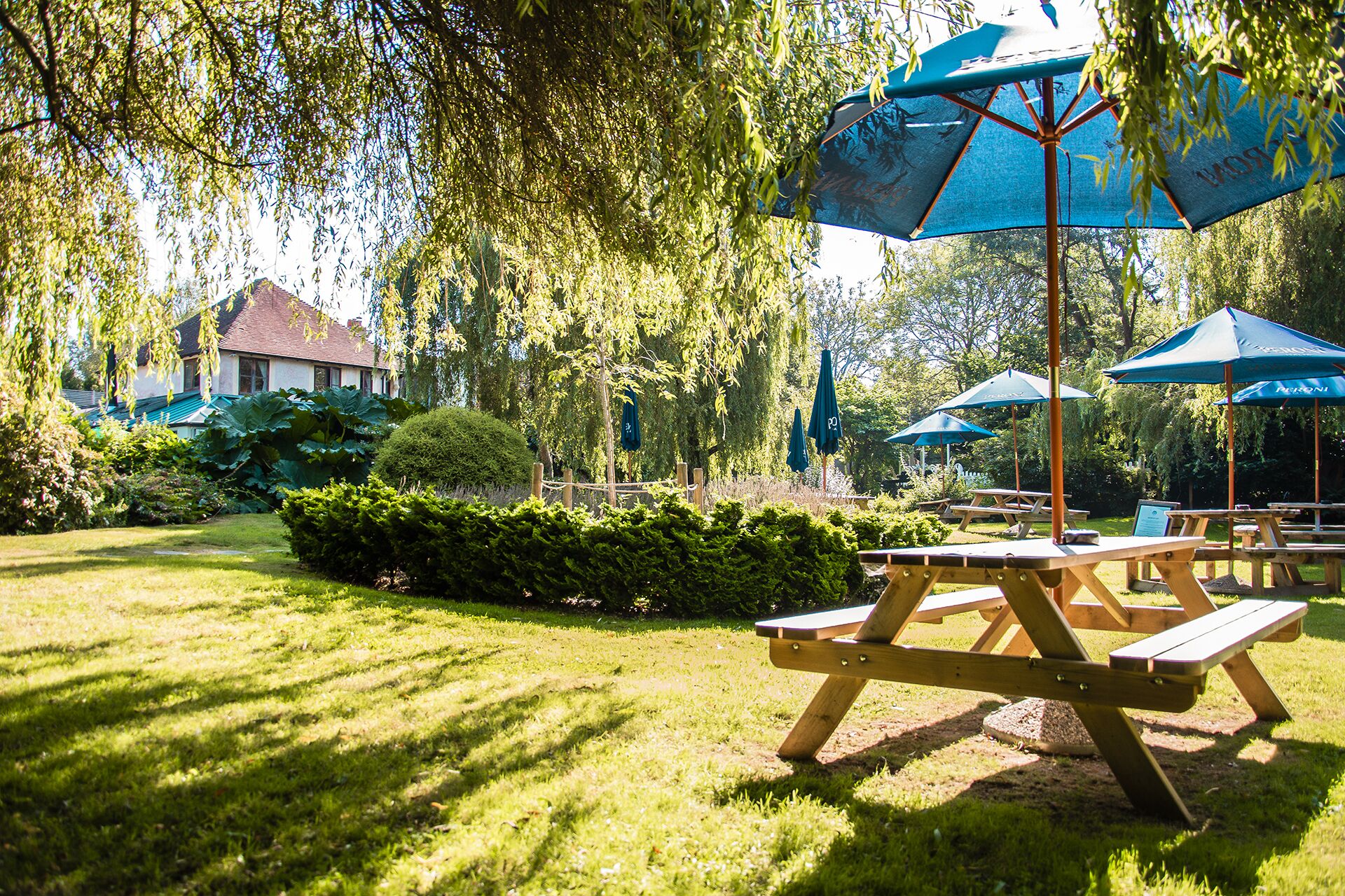 Un jardín con mesas de picnic y sombrillas azules.