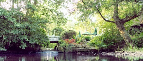 Vistas al lago