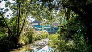 A serene riverside view with lush greenery and a traditional house with a blue roof. - The Old Mill (Lymington)