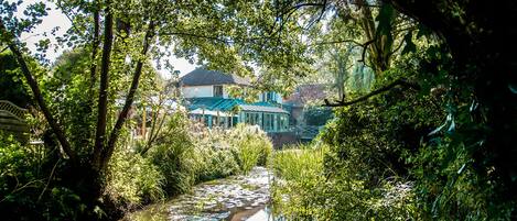 Une vue paisible sur la rivière, avec une végétation luxuriante et une maison traditionnelle dotée d’un toit bleu.