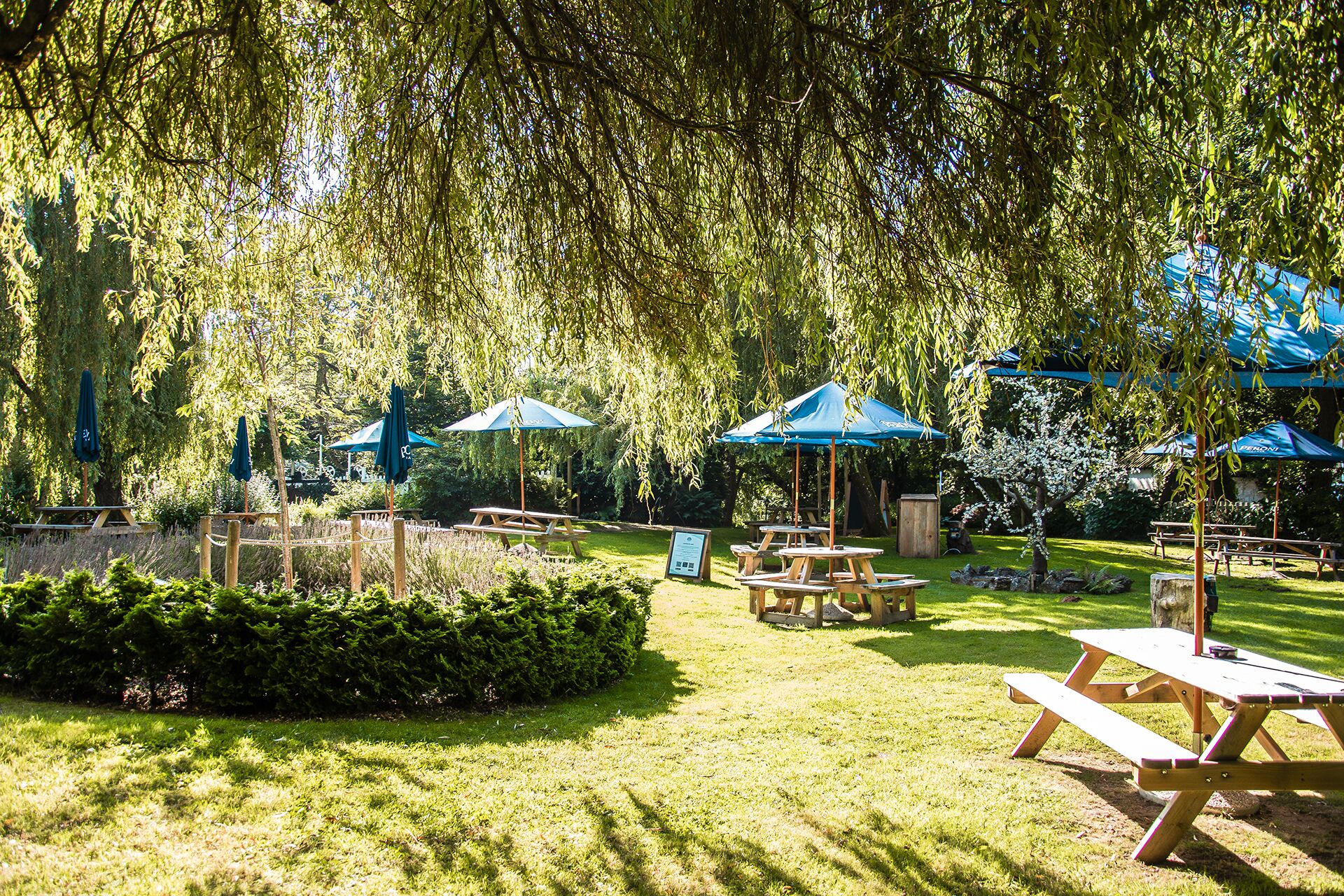 Un jardín al aire libre con mesas de picnic y sombrillas azules.