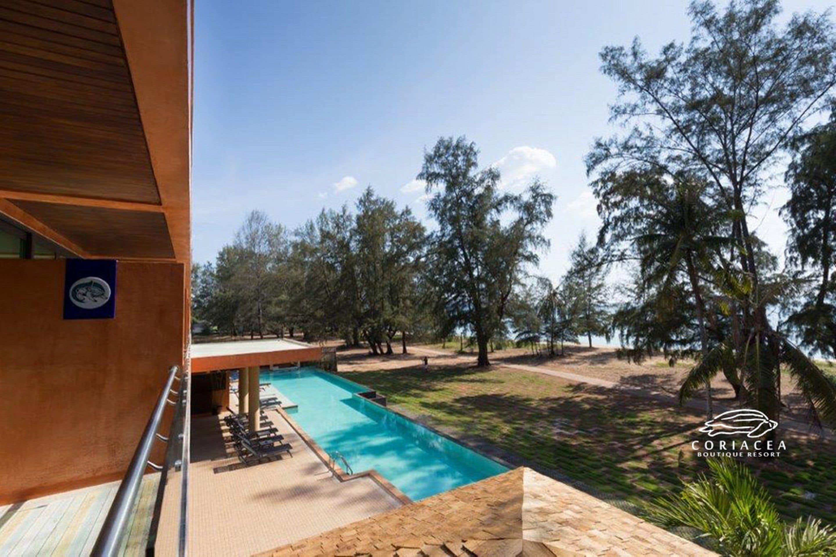 Ein Poolbereich mit Holzterrasse, Liegestühlen und Blick auf Bäume und einen klaren Himmel.