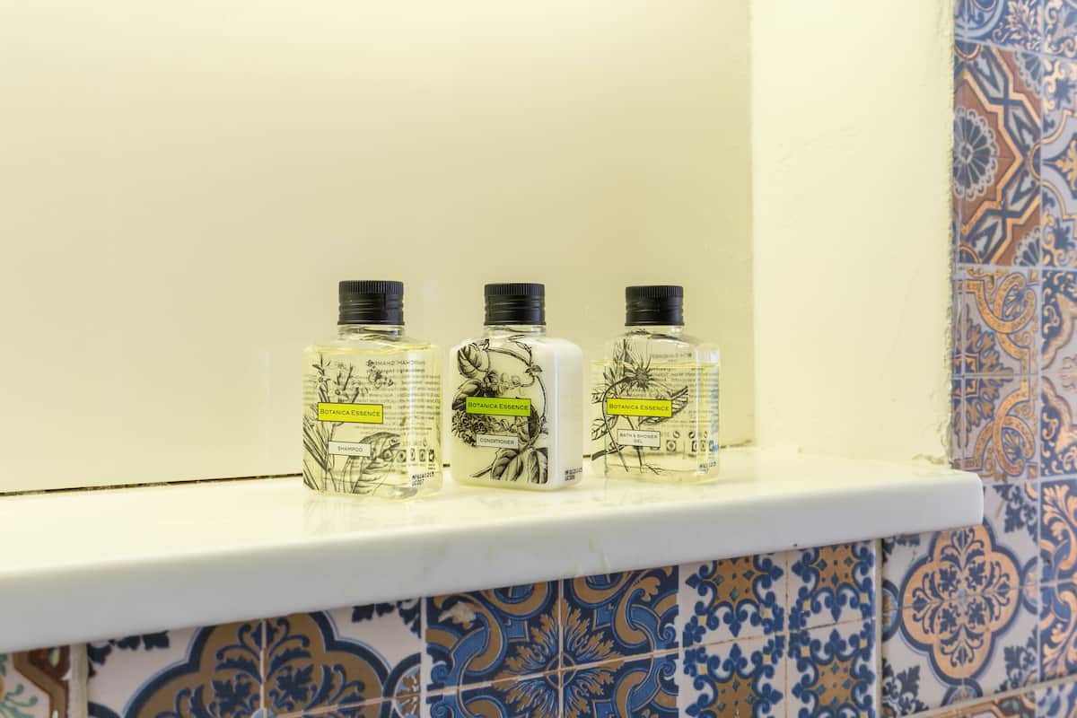 shower, free toiletries, hair dryer, slippers