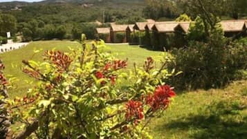 Un paisaje rural con una hilera de edificios tradicionales, un campo de césped y un árbol con flores rojas.