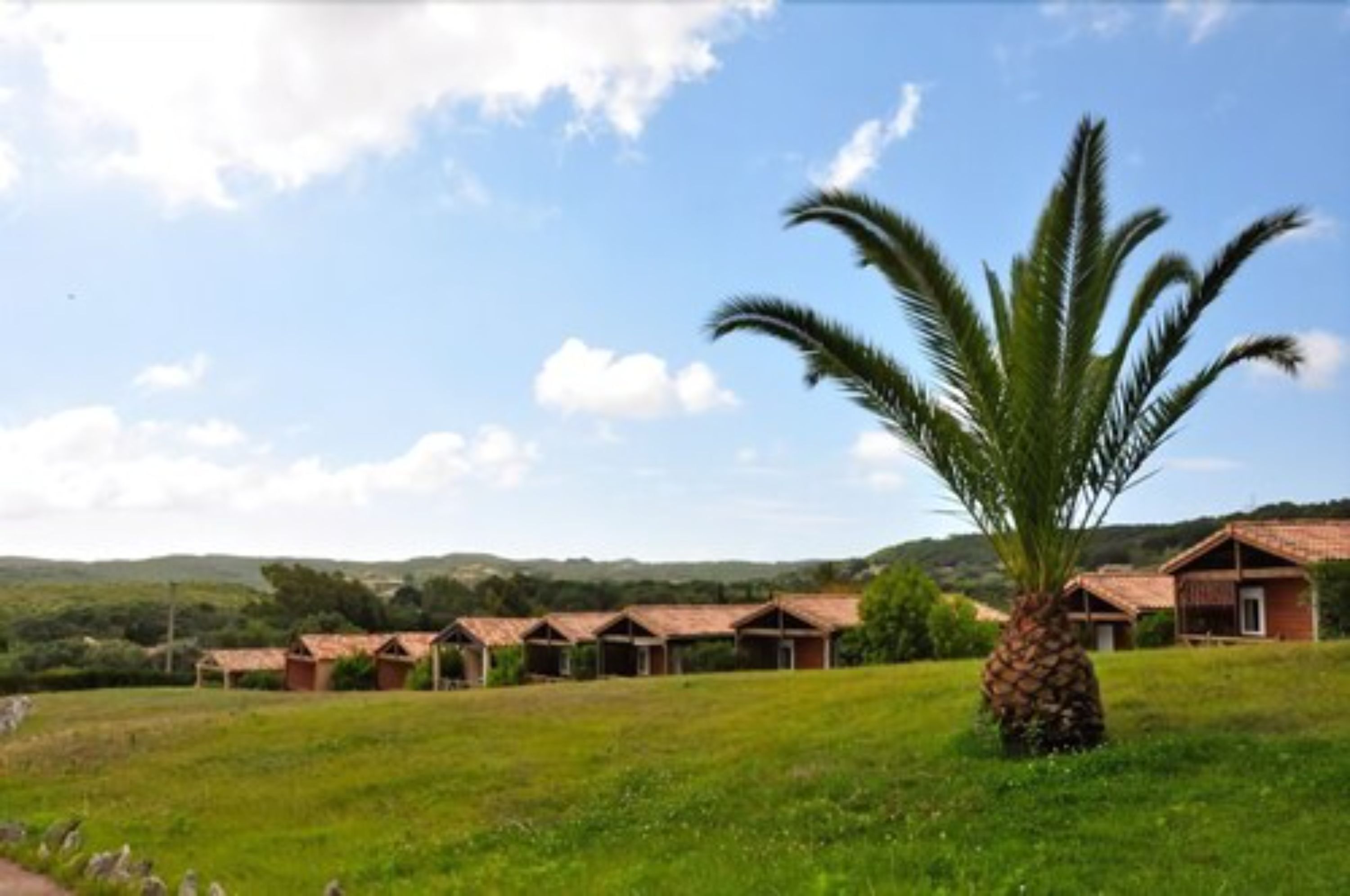 A row of rustic cabins with red roofs, a palm tree in the foreground, and a hilly landscape in the background.