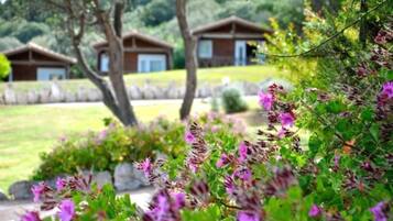 Jardin