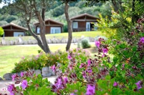 Garden - Hôtel Maora Village (Bonifacio)