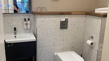A compact bathroom with a white sink, a toilet, and a mirror.