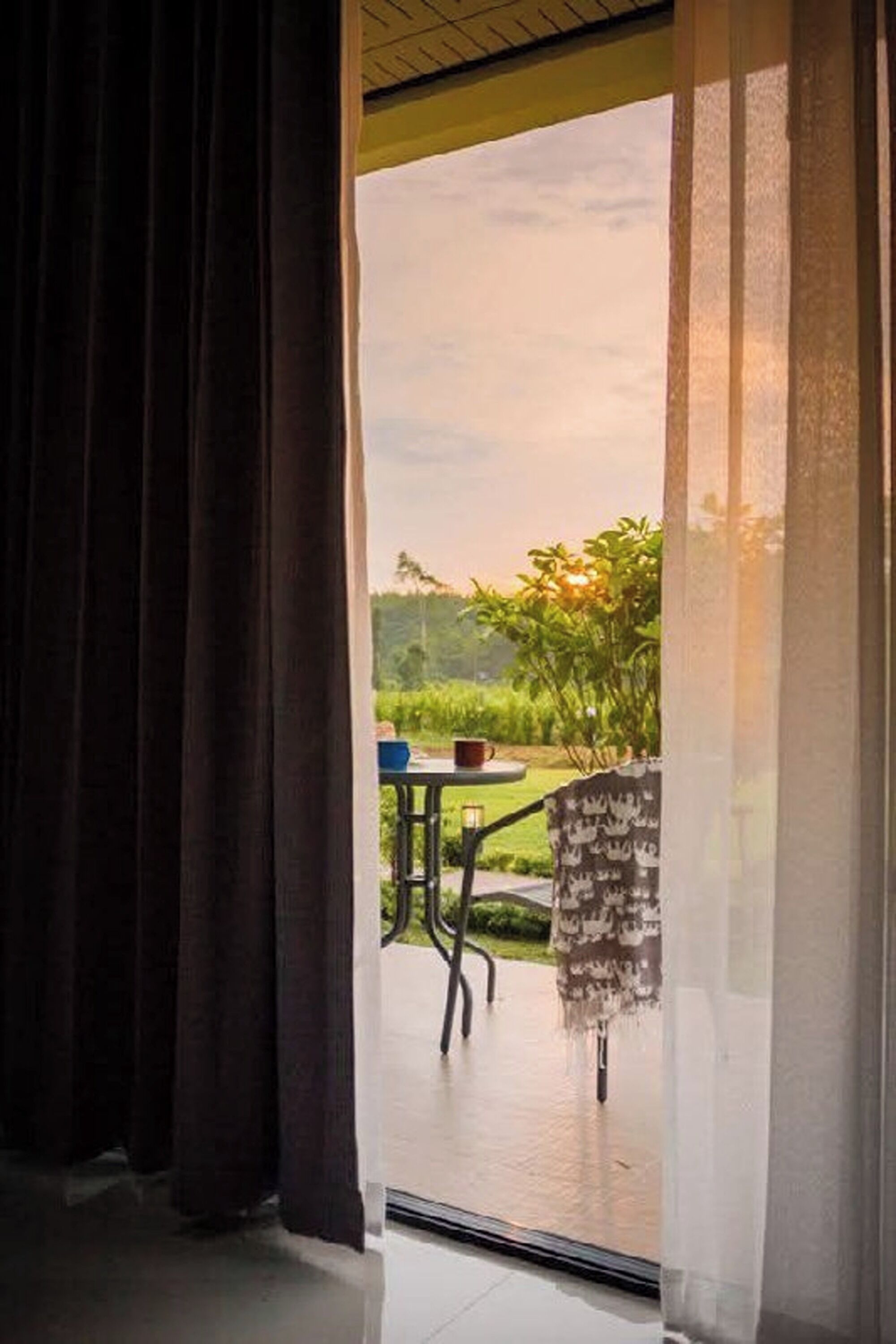 A room with a view of a garden through a window.