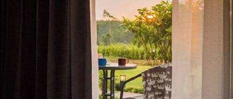 A room with a view of a garden through a window.