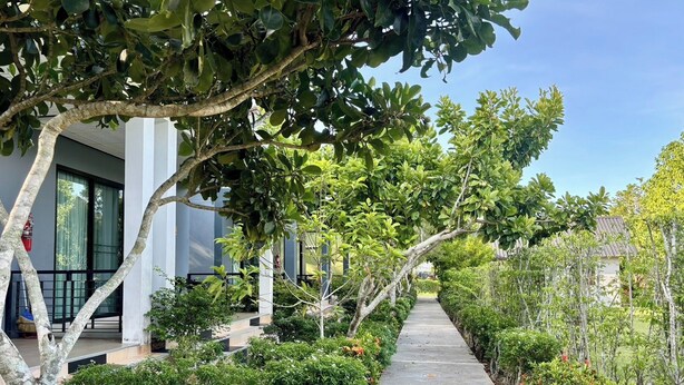 A pathway lined with trees and shrubs leading to a building with a modern architectural style. - Moonlight Cottage (Pa Klok)