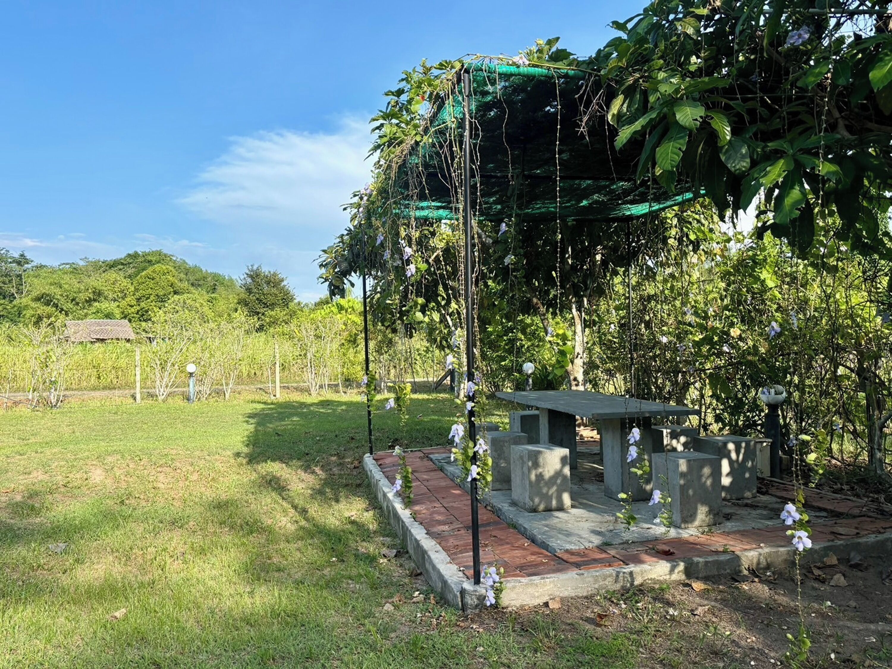 Un jardín con un columpio, un banco de piedra y una pérgola cubierta de plantas trepadoras.