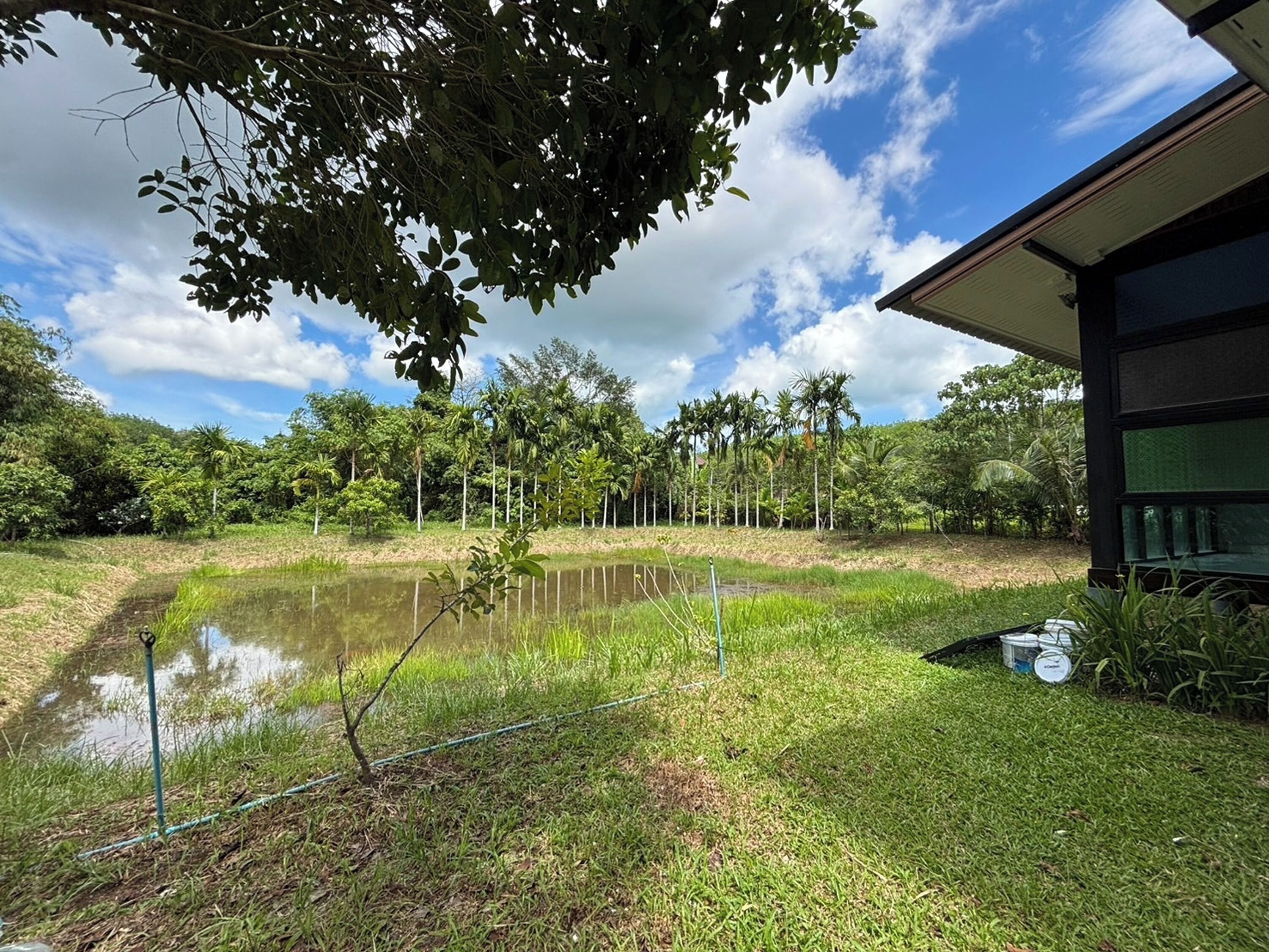 A pond with a grassy area and a building with a large window.