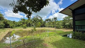 A pond with a grassy area and a building with a large window.
