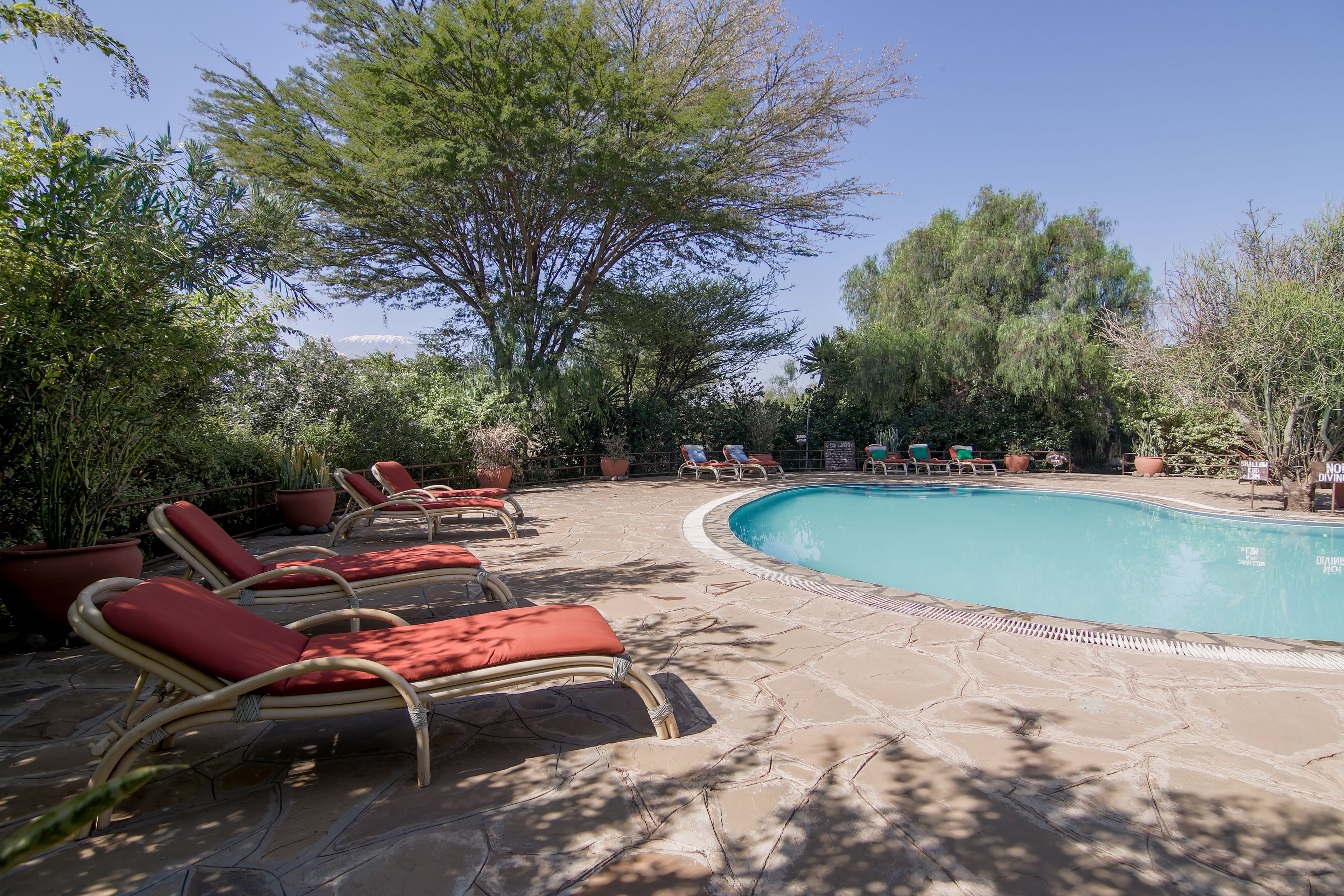 A pool area with lounge chairs and potted plants.