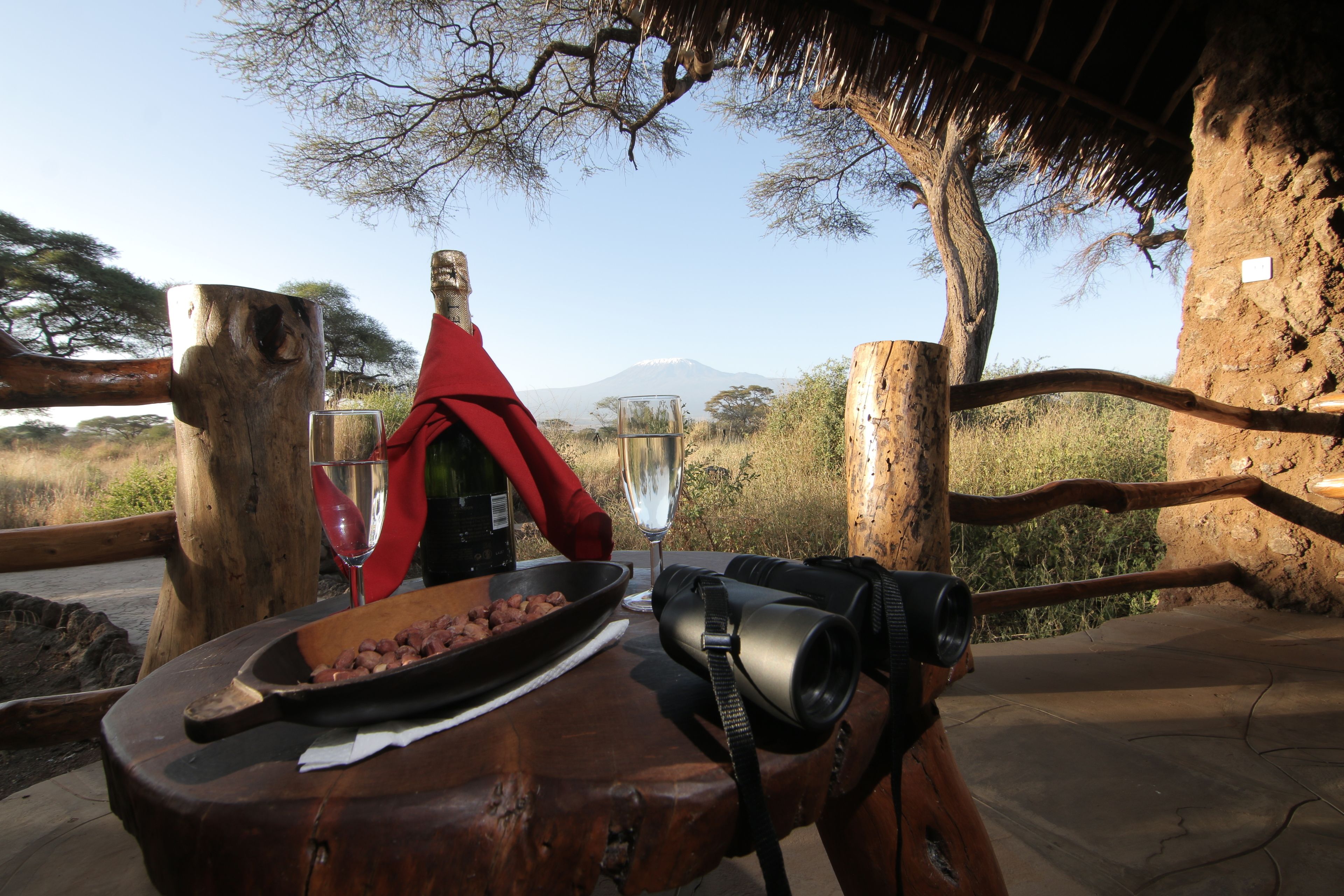 Una mesa de comedor con un plato de comida, una copa de vino y unos binoculares, frente a una vista panorámica de una montaña y árboles.
