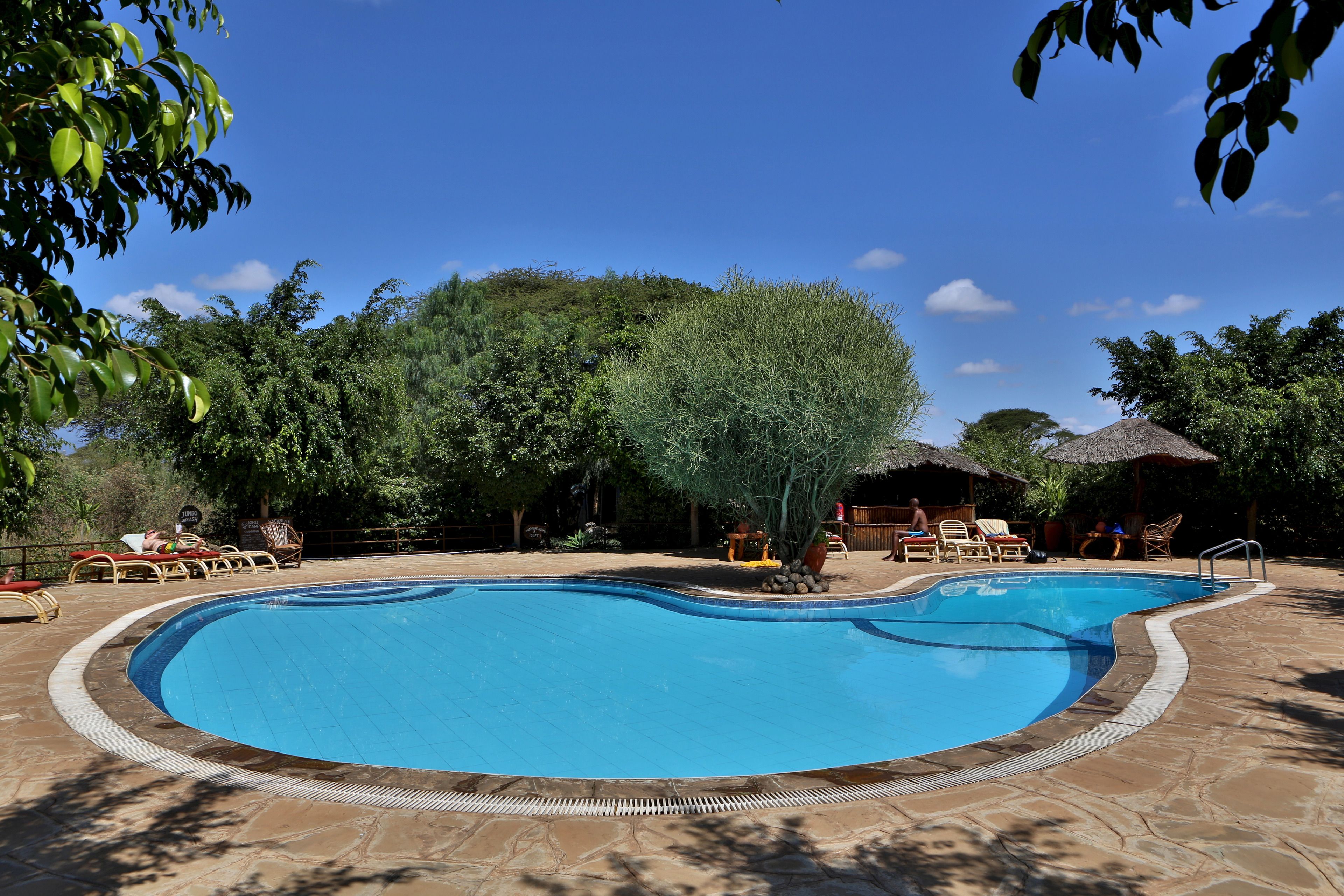 A swimming pool with a stone deck, surrounded by trees and shaded by foliage.