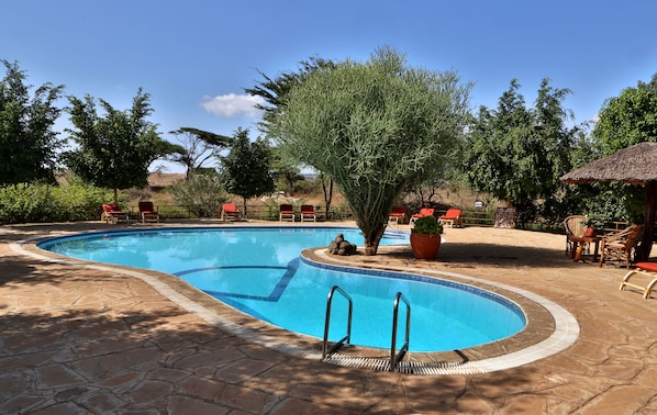 Una piscina al aire libre
