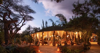 Kibo Safari Camp