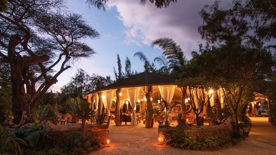 Kibo Safari Camp