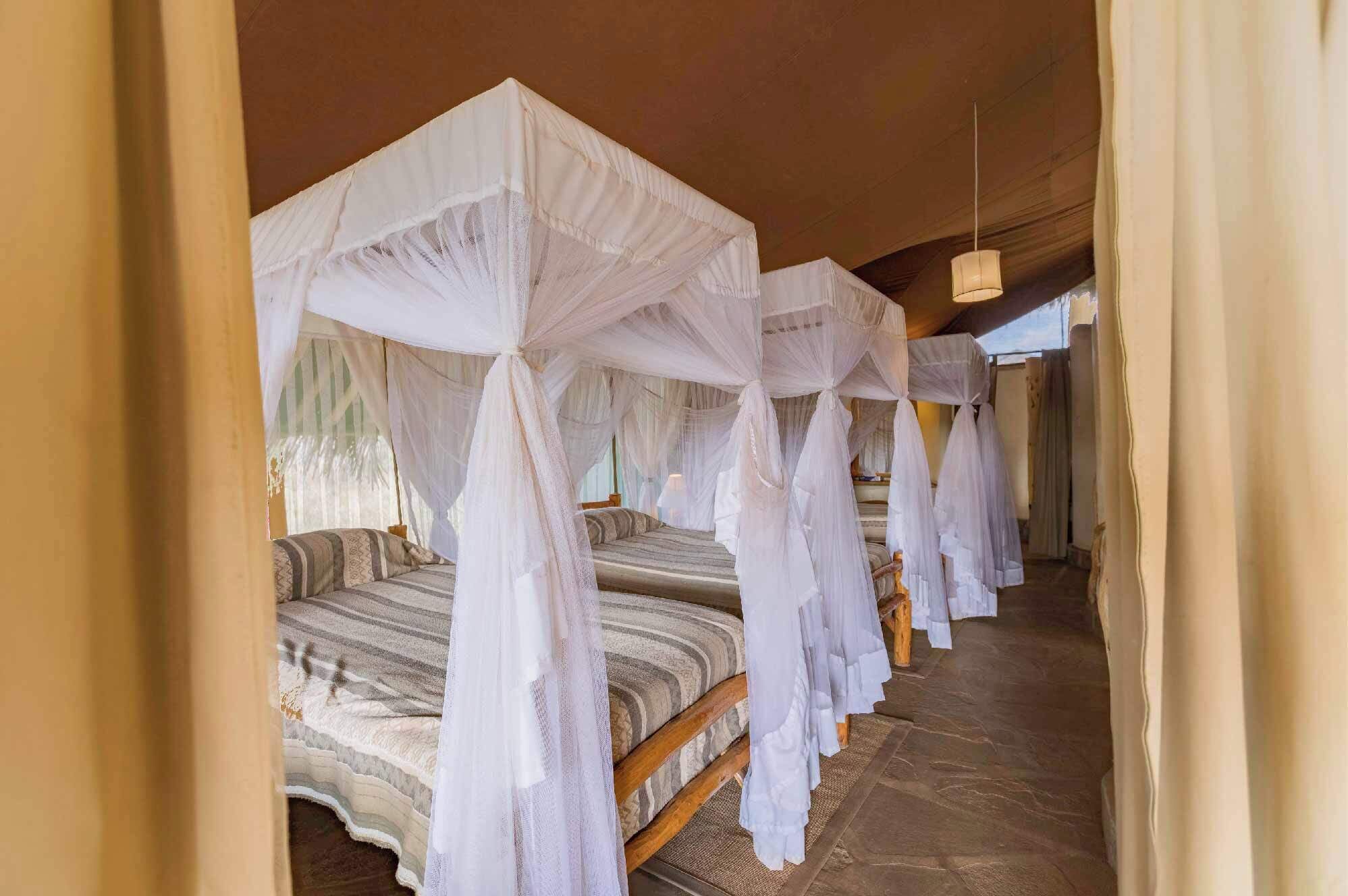 Club Tent (Triple) | Desk, bed sheets