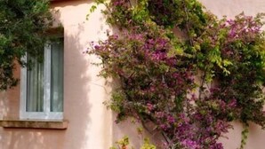 A building with a pink facade and a tiled roof, surrounded by greenery and flowering plants. - Résidence Maora Village (Bonifacio)