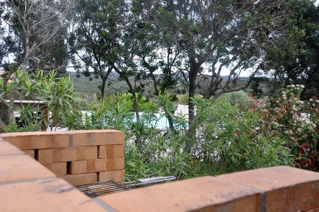 Eine Terrasse mit Backsteinmauer, Grill und verschiedenen Pflanzen.
