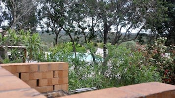 Eine Terrasse mit Backsteinmauer, Grill und verschiedenen Pflanzen.