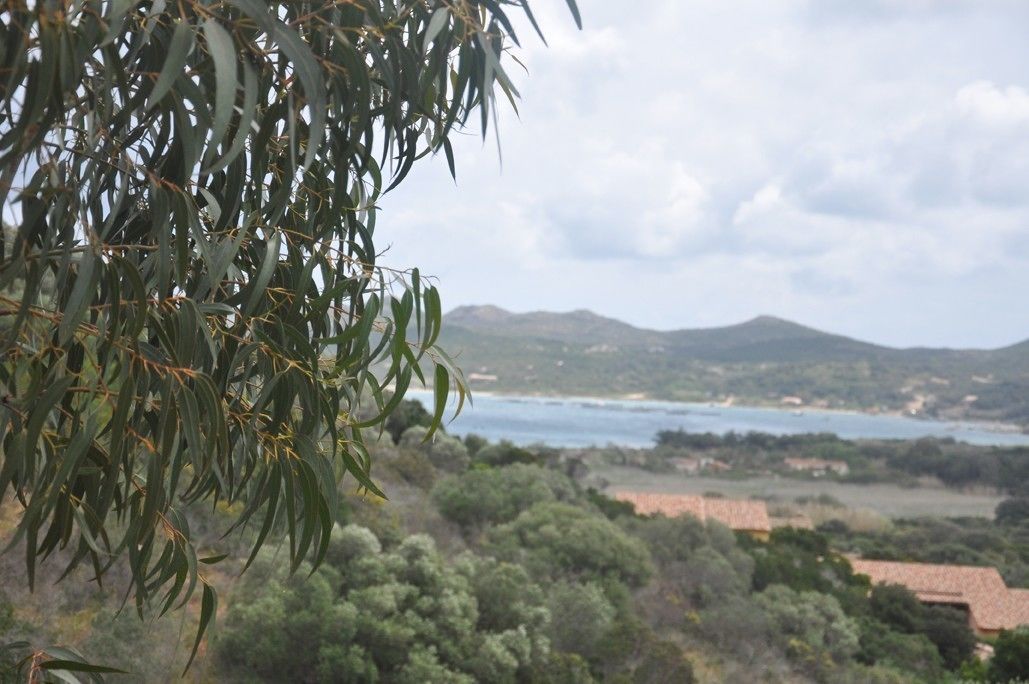 A coastal landscape with a view of the sea and hills in the background.