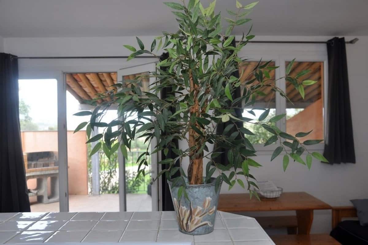 Villa, 1 Bedroom, Terrace (Villa T2 - 4 personnes max) | Peti besi dalam bilik, katil bayi/kot (percuma)