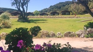 A view of a golf course with a stone wall and a large tree in the foreground. - Résidence Maora Village (Bonifacio)